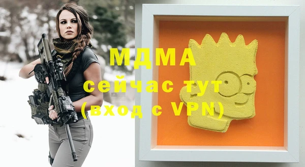 ГАЛЛЮЦИНОГЕННЫЕ ГРИБЫ Инсар