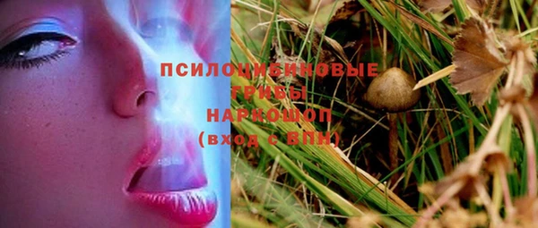 гашик Зеленодольск