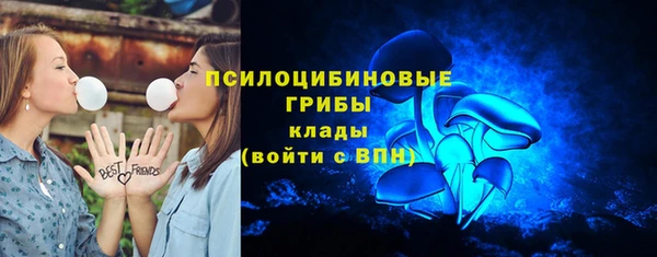 дурь Алзамай