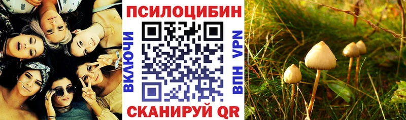 Псилоцибиновые грибы GOLDEN TEACHER  наркотики  Сухиничи 